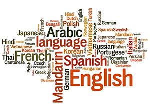 Top Languages