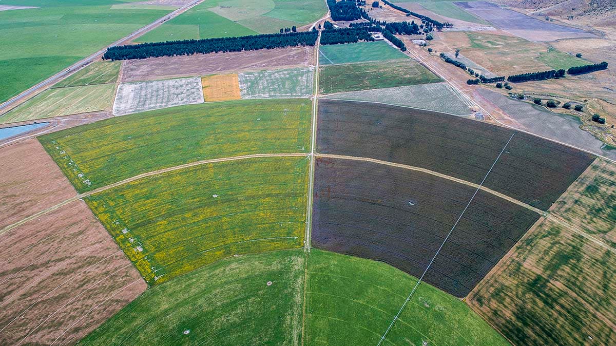 Regenerative Agriculture